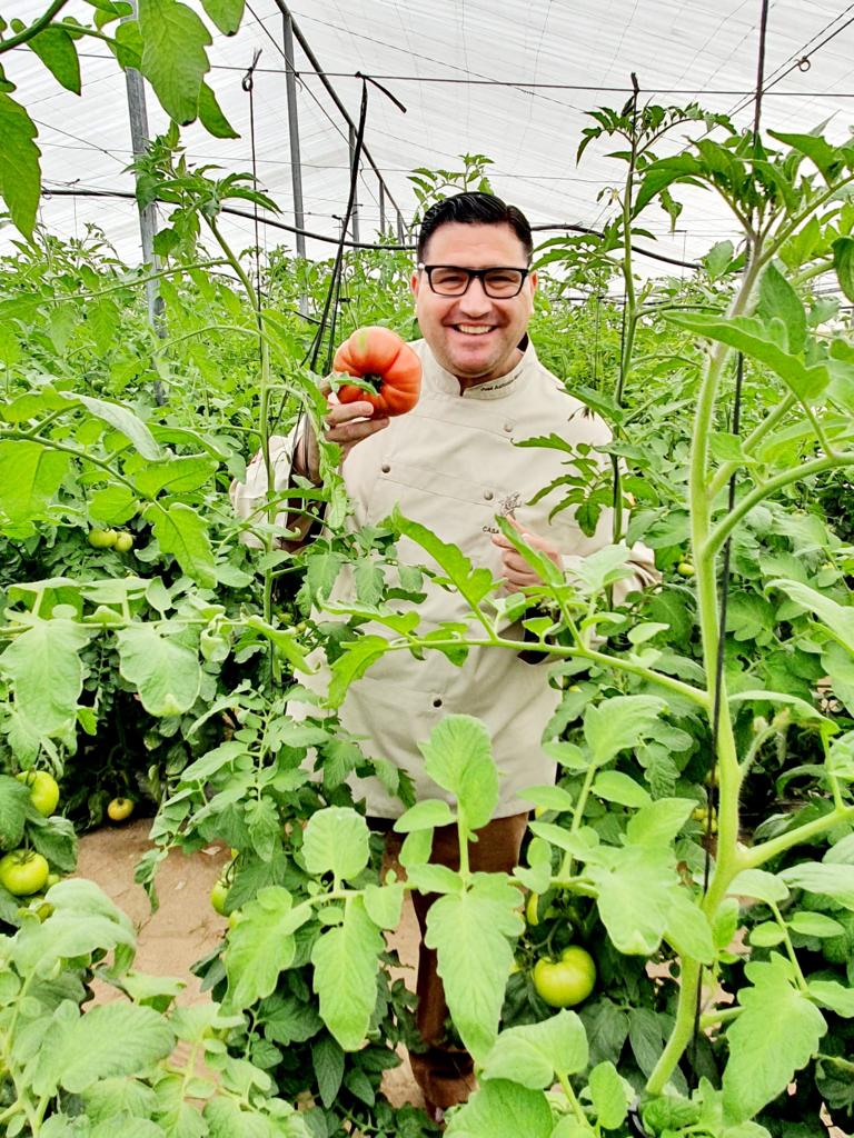 Historia del tomate palaciego